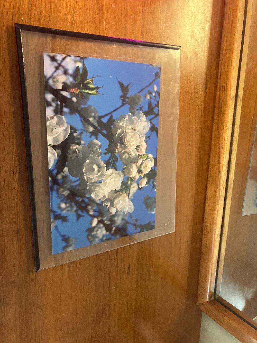 Summery Flower Print